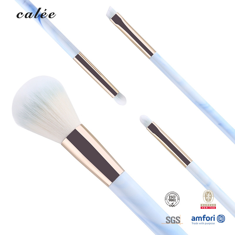 4pcs ชุดแปรงเครื่องสําอางสําหรับการเดินทาง ด้วยผมสังเคราะห์ และมือพลาสติก ด้วยกล่องบรรจุ PVC